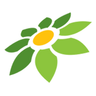 DEWAHOKI